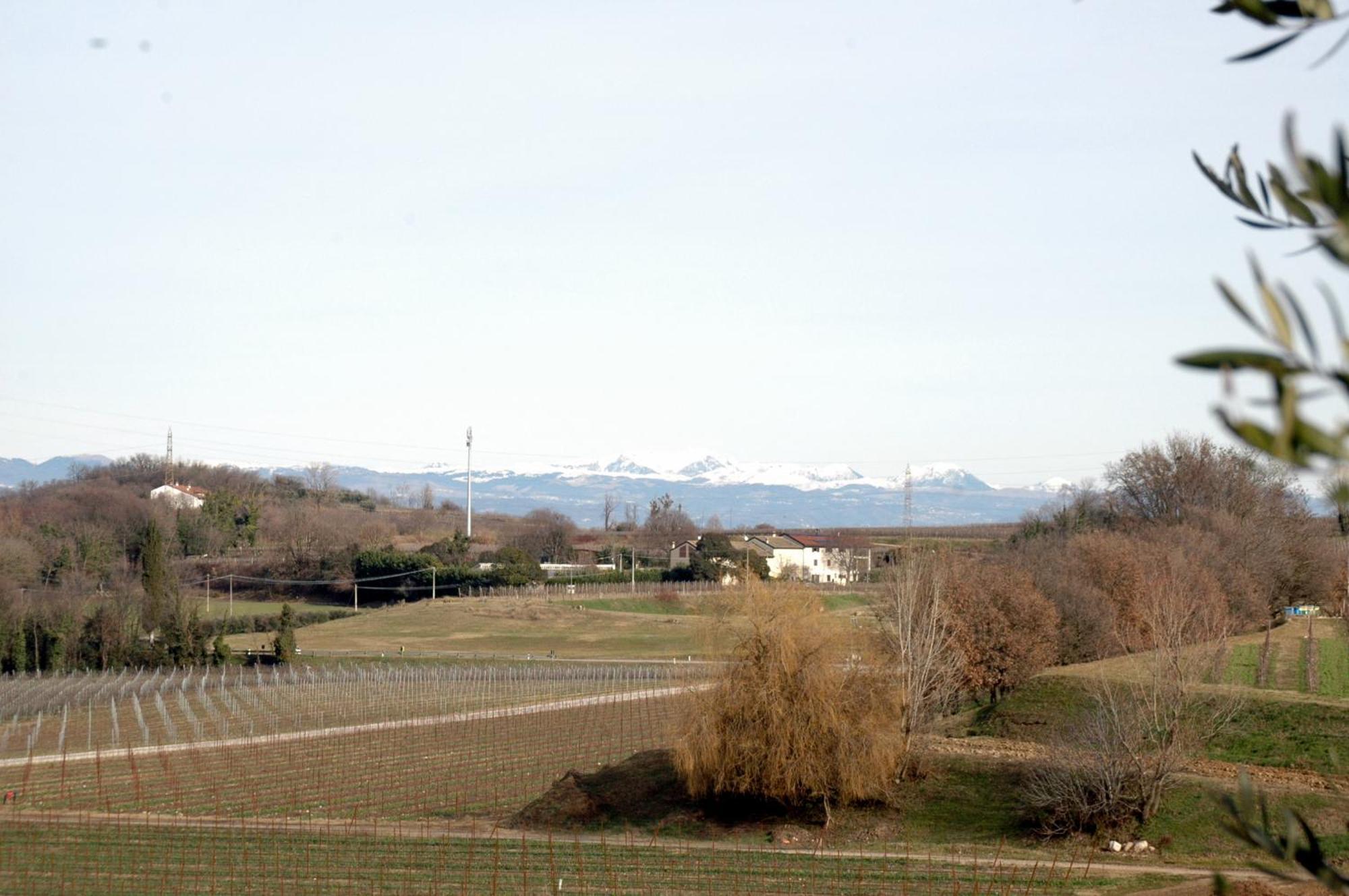 Seiterre Agriturismo Tenuta San Leone Valeggio sul Mincio Extérieur photo