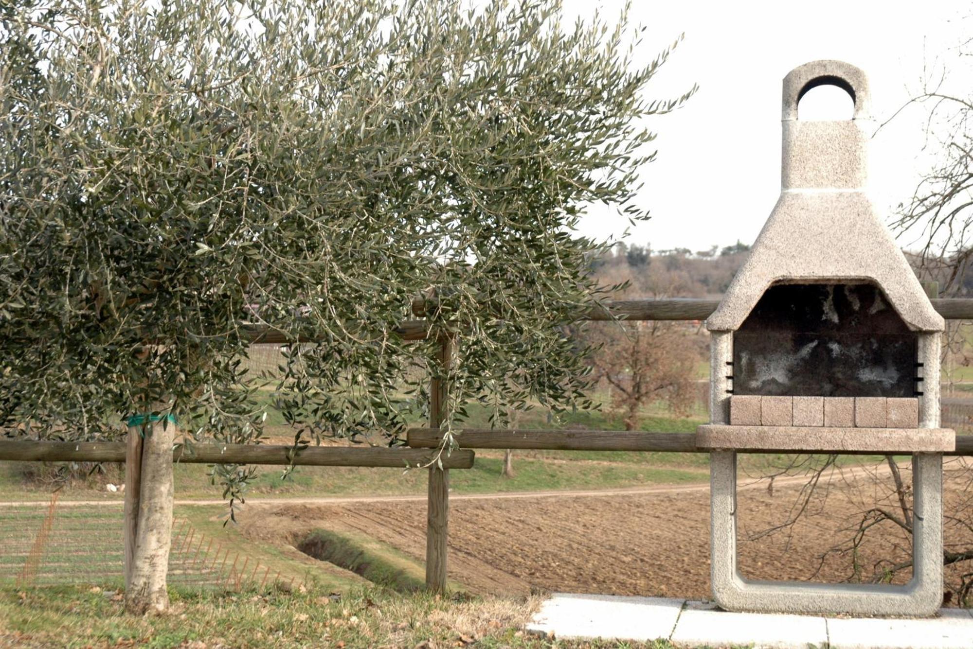 Seiterre Agriturismo Tenuta San Leone Valeggio sul Mincio Extérieur photo